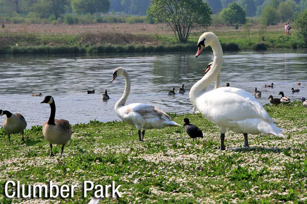 Holidays near Clumber park and the Dukeries in Nottinghamshire