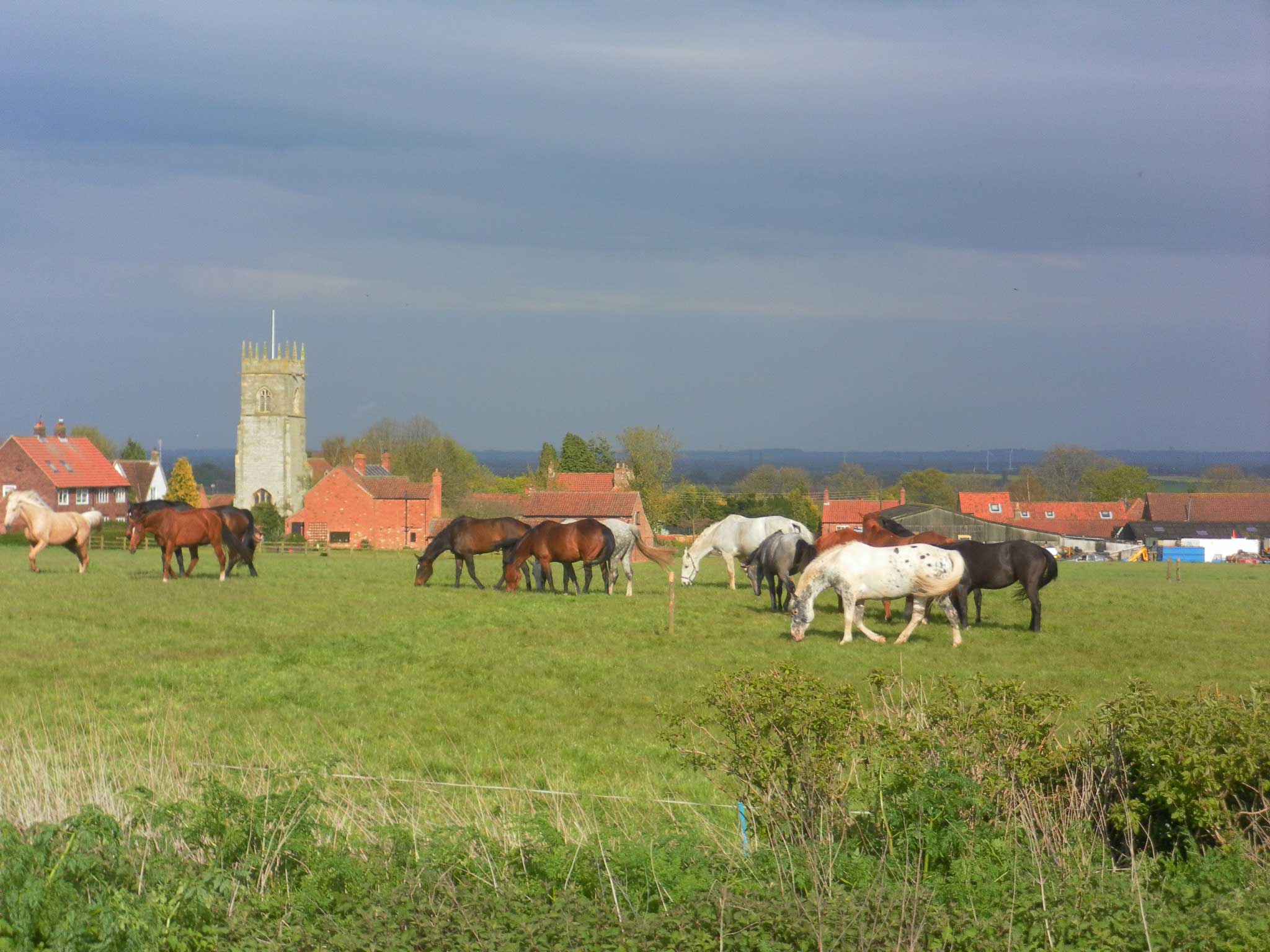 Holidays in Robin Hood country, Nottinghamshire